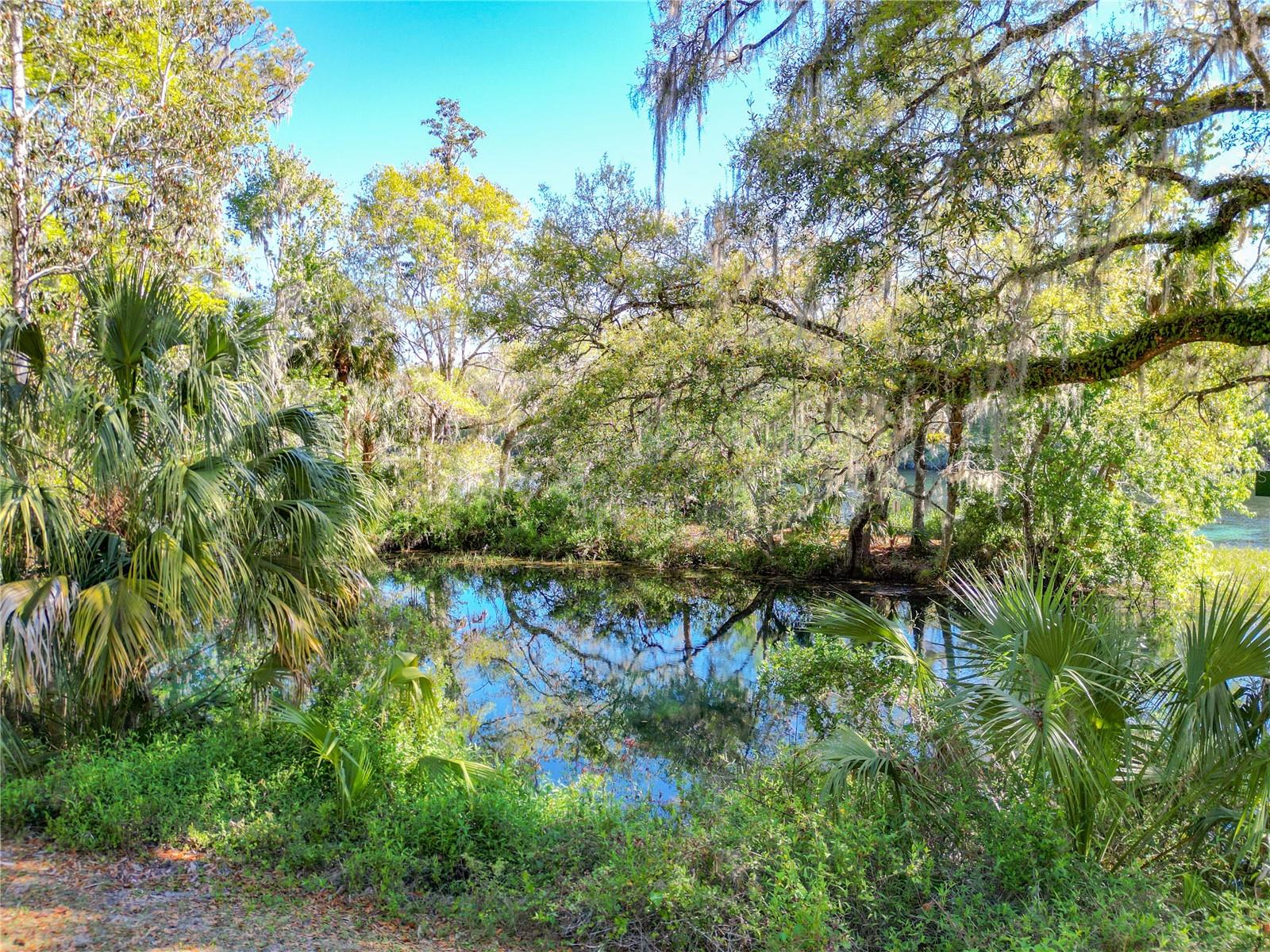 19432 SW 78TH PL, DUNNELLON, FL, 34432