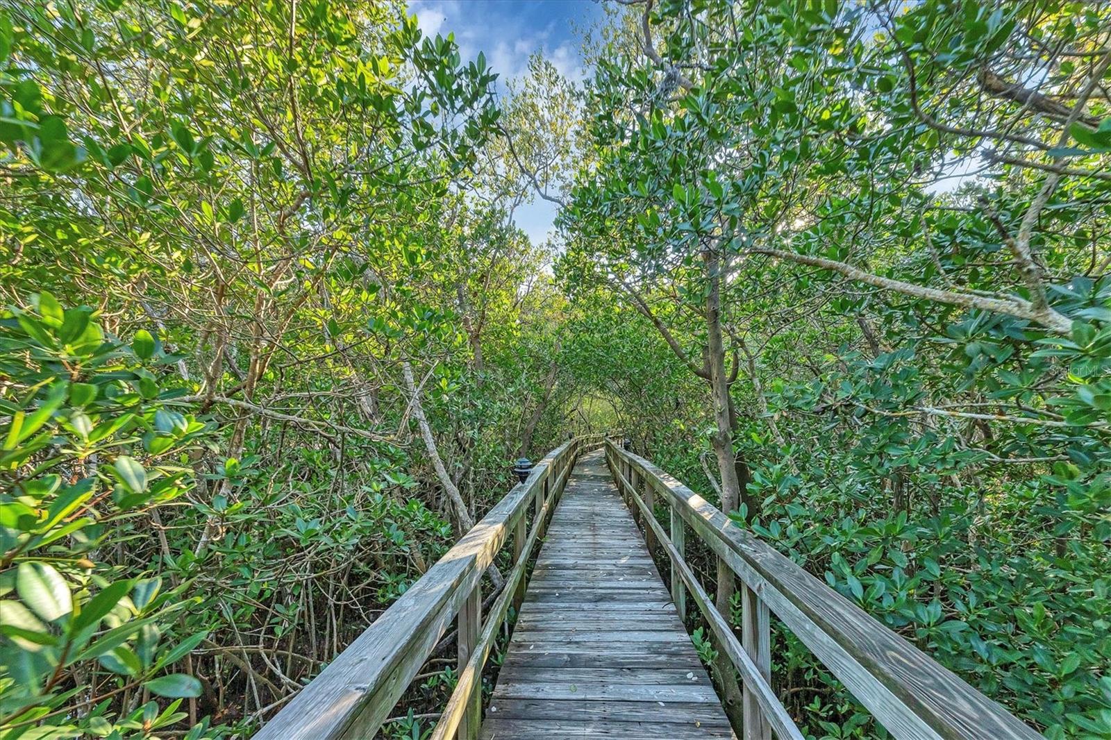 660 CEDARS CT, LONGBOAT KEY, FL, 34228