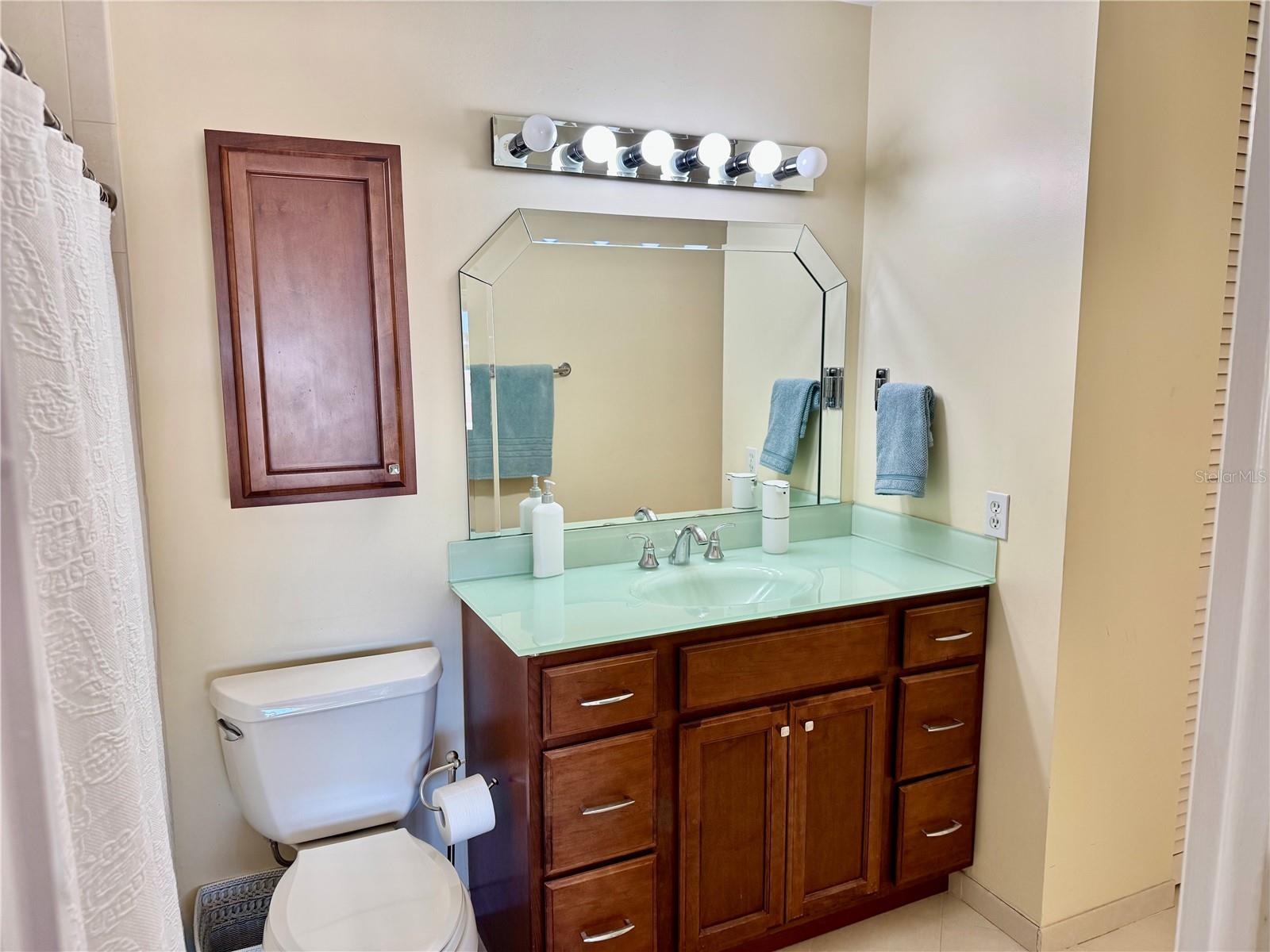 100 BLUFF VIEW DR #117C, BELLEAIR BLUFFS, FL, 33770