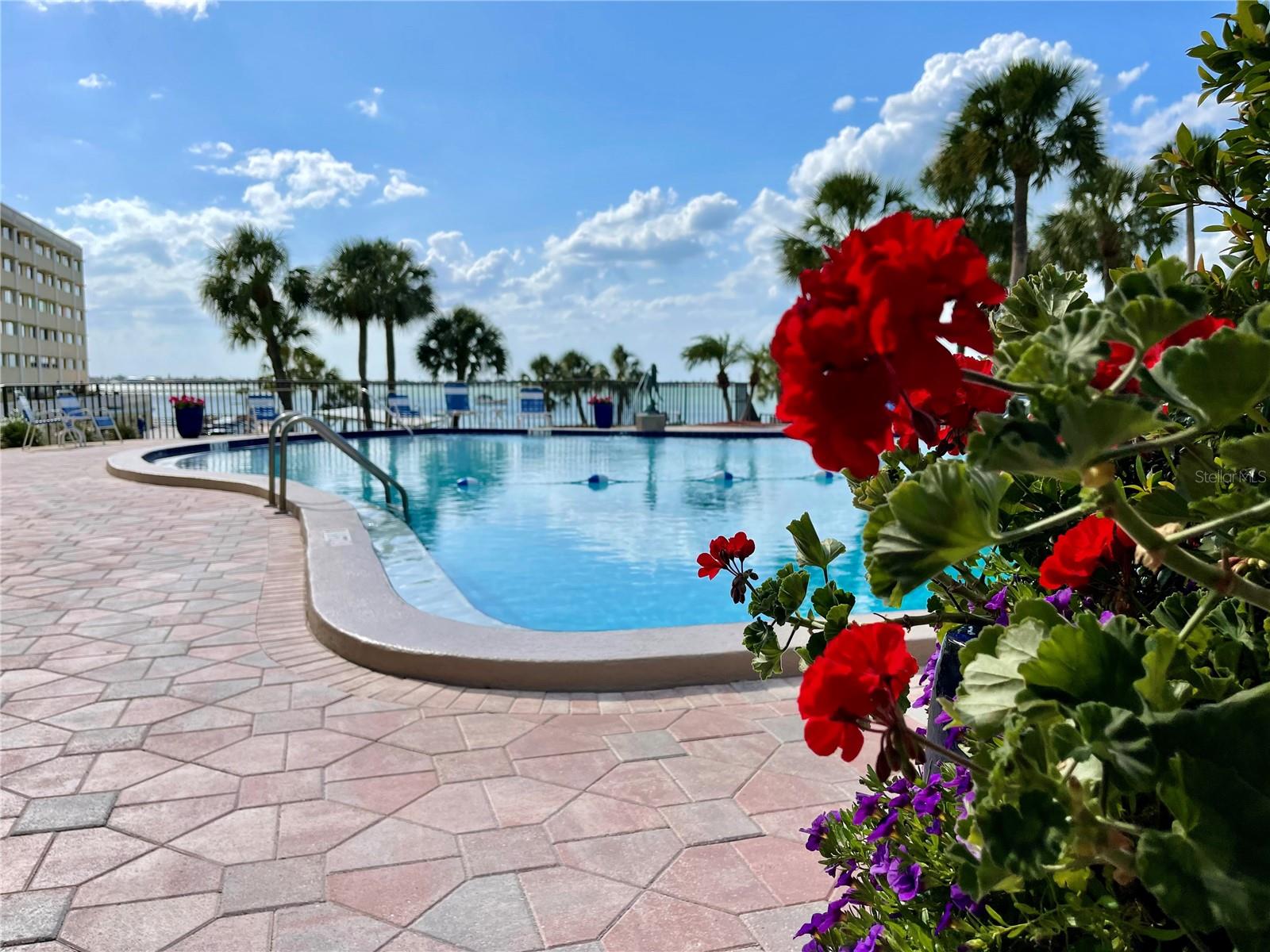 100 BLUFF VIEW DR #117C, BELLEAIR BLUFFS, FL, 33770