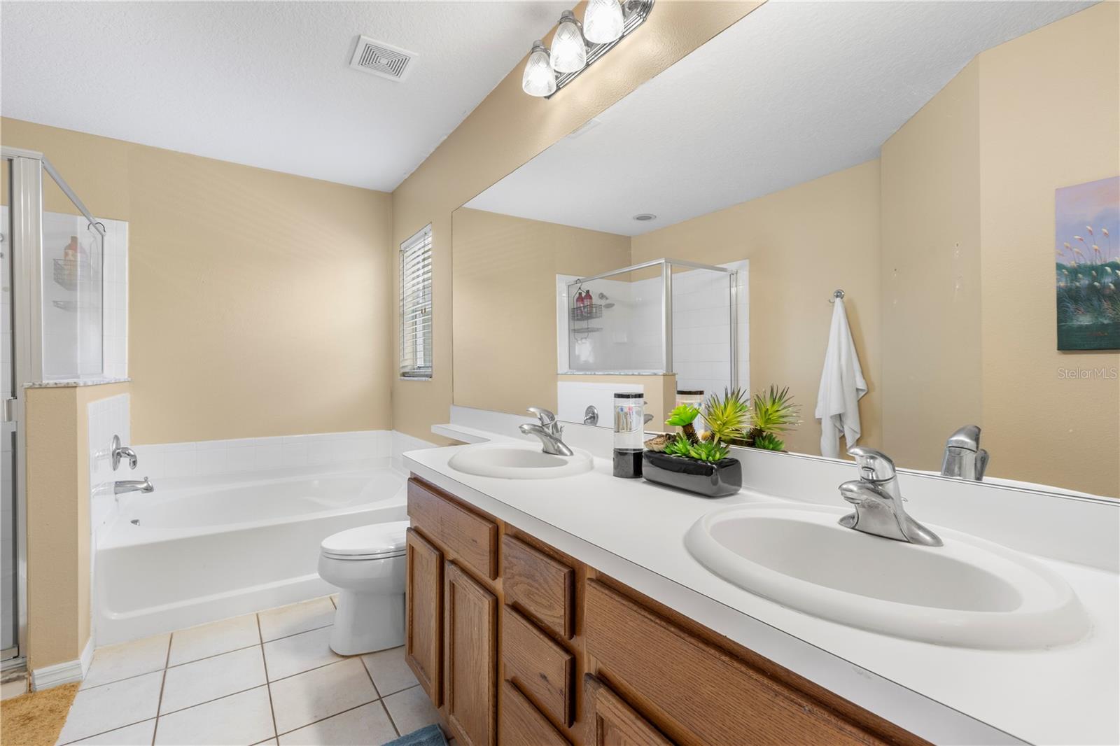 19352 OTTERS WICK WAY, LAND O LAKES, FL, 34638