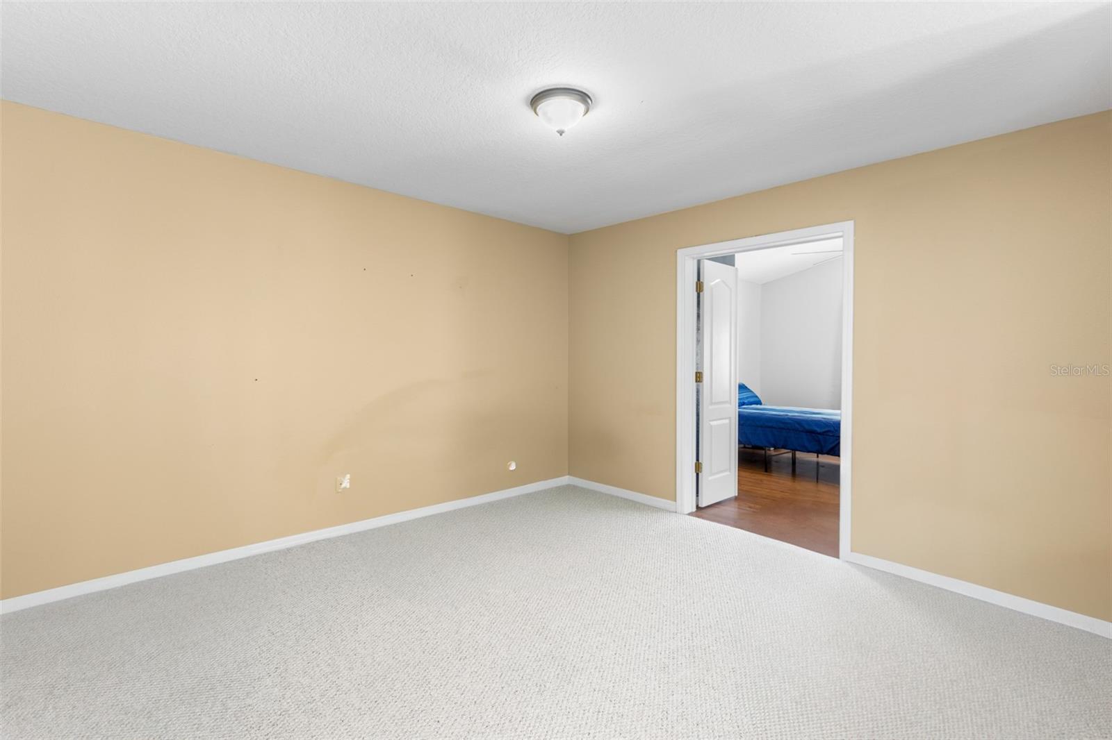19352 OTTERS WICK WAY, LAND O LAKES, FL, 34638