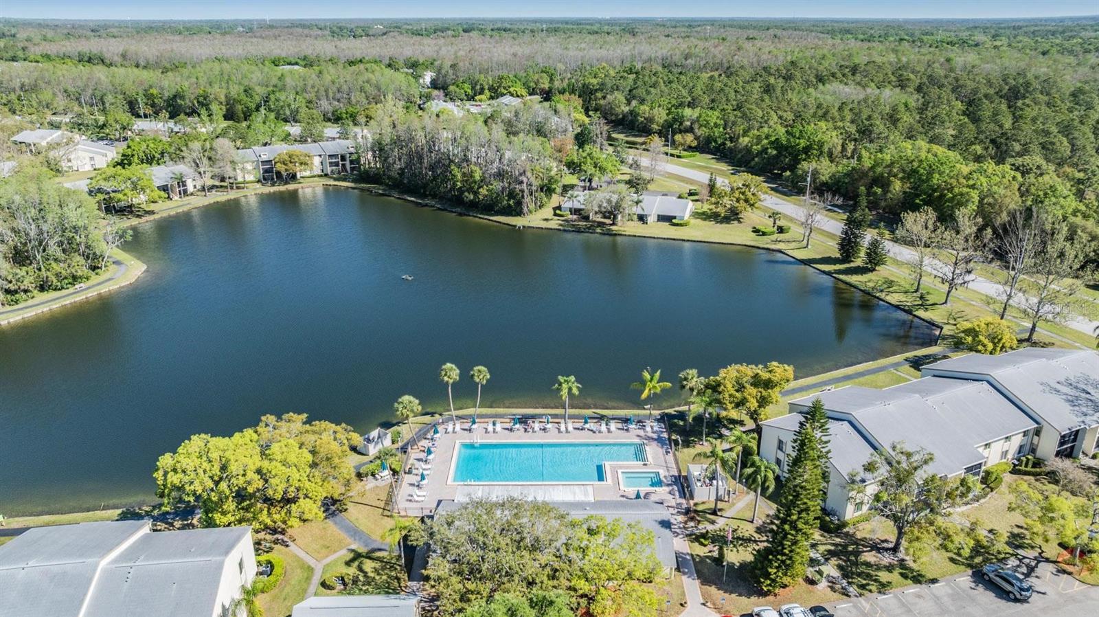 1333 SHADY PINE WAY #B, TARPON SPRINGS, FL, 34688