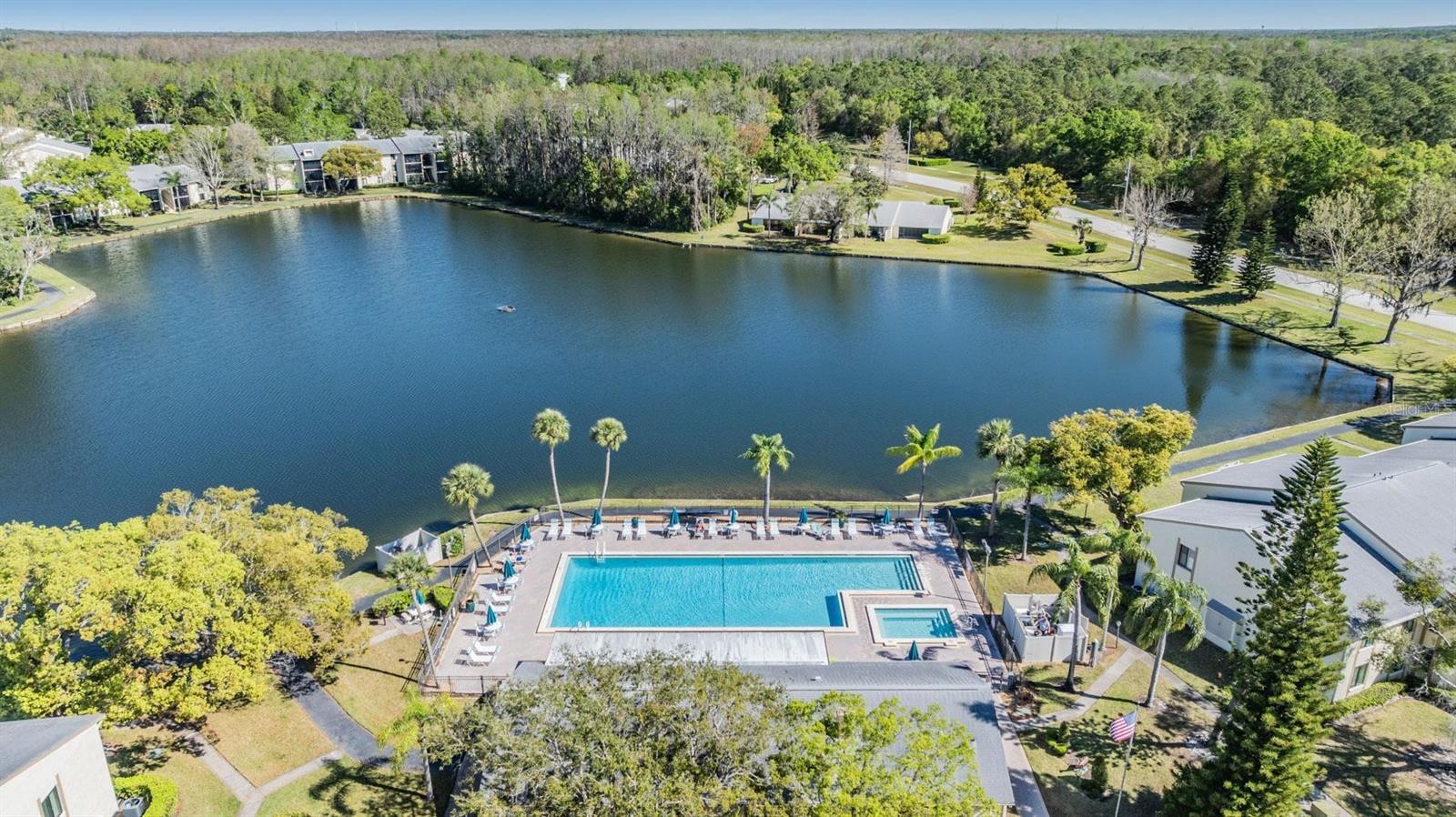 1333 SHADY PINE WAY #B, TARPON SPRINGS, FL, 34688