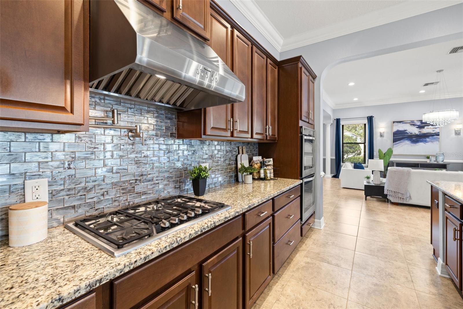 3226 CORDOBA RANCH BLVD, LUTZ, FL, 33559