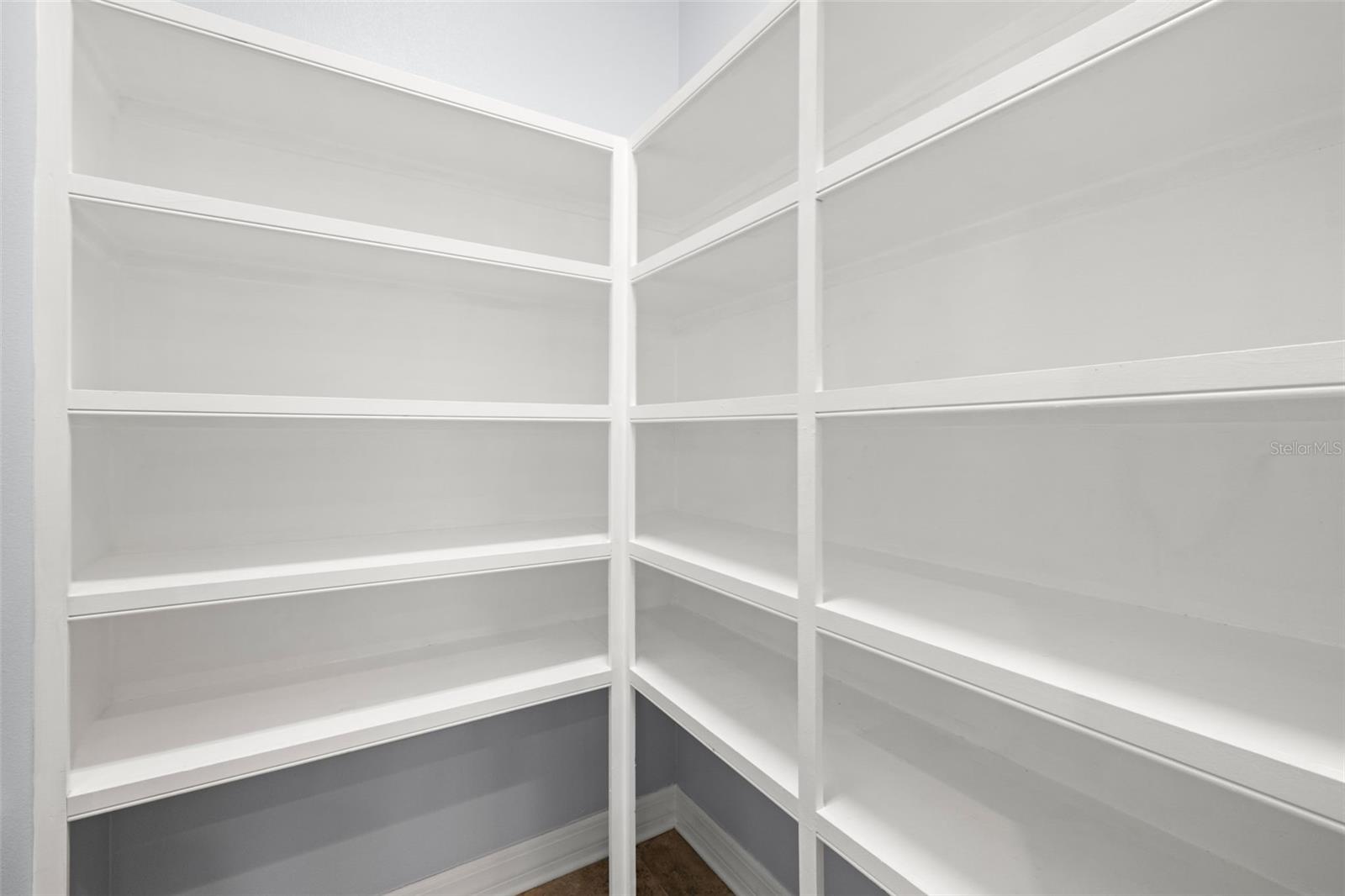 3226 CORDOBA RANCH BLVD, LUTZ, FL, 33559