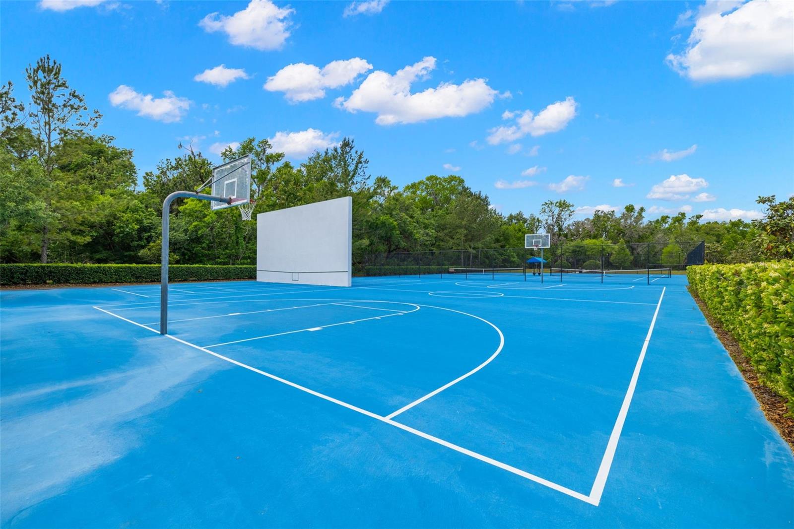 3226 CORDOBA RANCH BLVD, LUTZ, FL, 33559