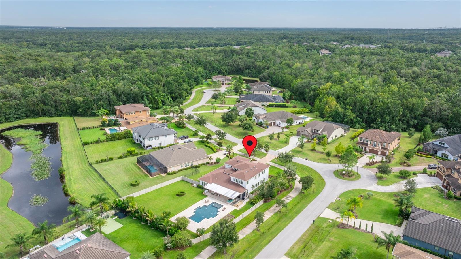 3226 CORDOBA RANCH BLVD, LUTZ, FL, 33559