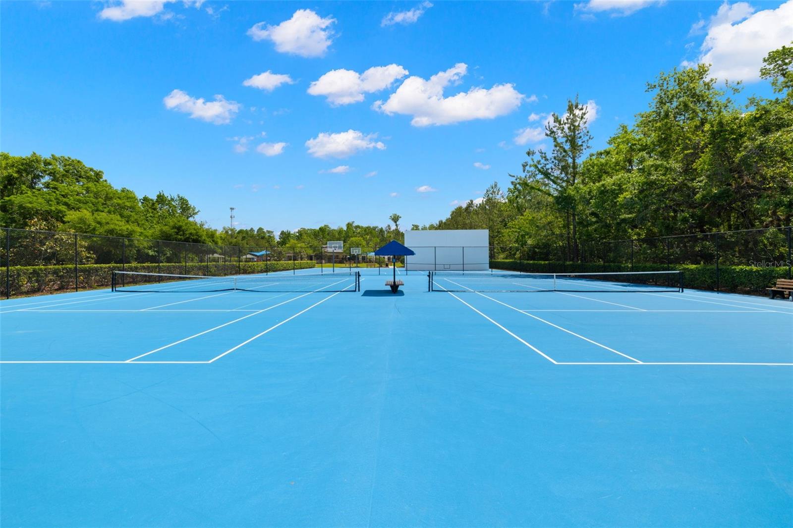 3226 CORDOBA RANCH BLVD, LUTZ, FL, 33559