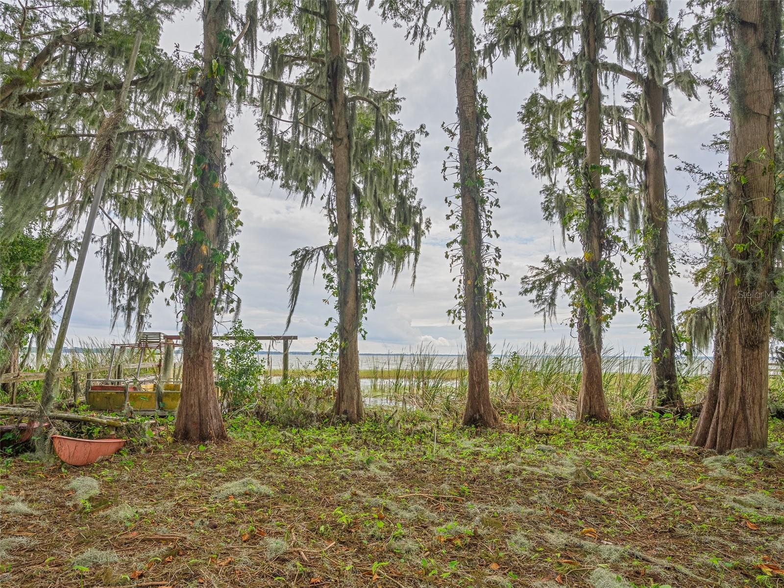 16 CYPRESS DR, EUSTIS, FL, 32726
