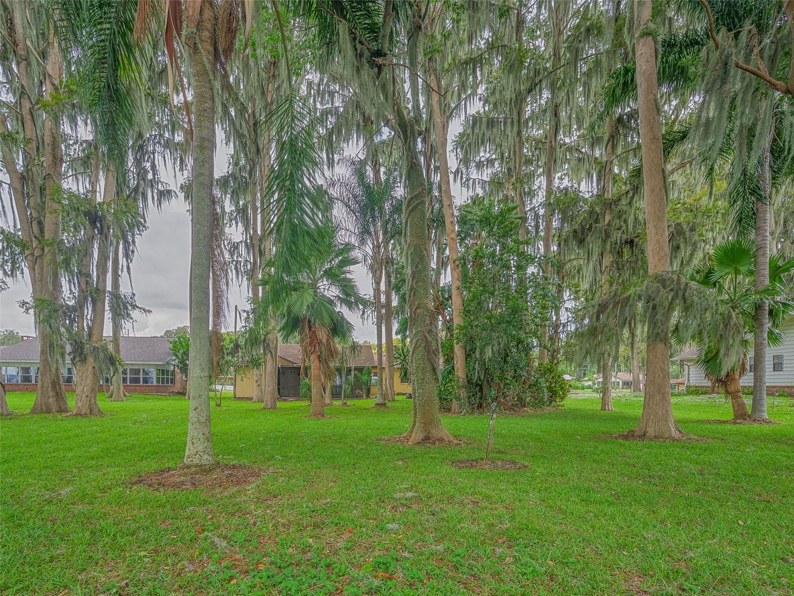 16 CYPRESS DR, EUSTIS, FL, 32726