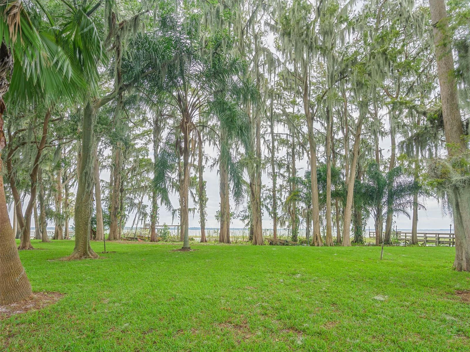 16 CYPRESS DR, EUSTIS, FL, 32726