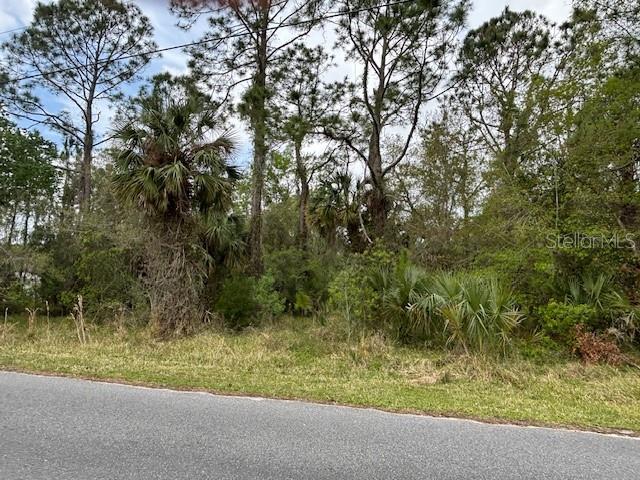 864 RASLEY RD, NEW SMYRNA BEACH, FL, 32168