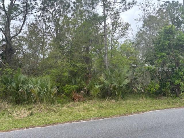 864 RASLEY RD, NEW SMYRNA BEACH, FL, 32168