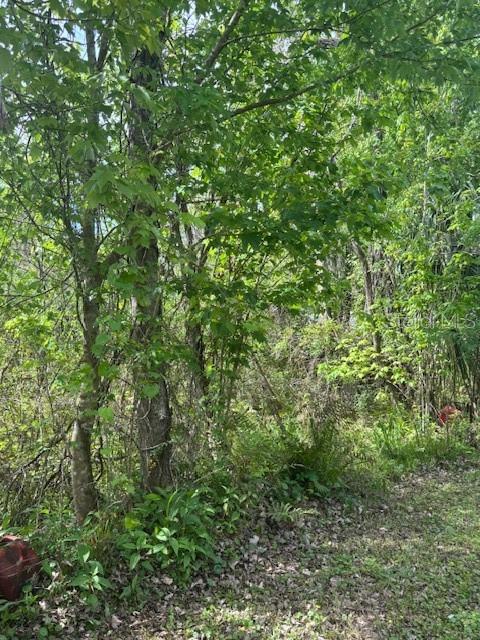 864 RASLEY RD, NEW SMYRNA BEACH, FL, 32168