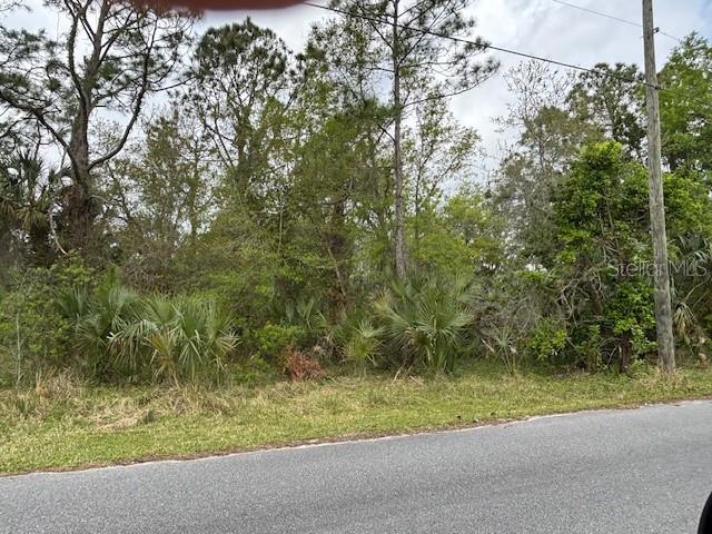 864 RASLEY RD, NEW SMYRNA BEACH, FL, 32168