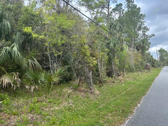 864 RASLEY RD, NEW SMYRNA BEACH, FL, 32168
