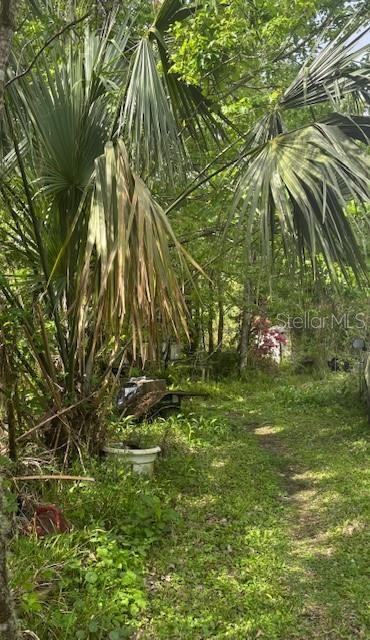 864 RASLEY RD, NEW SMYRNA BEACH, FL, 32168