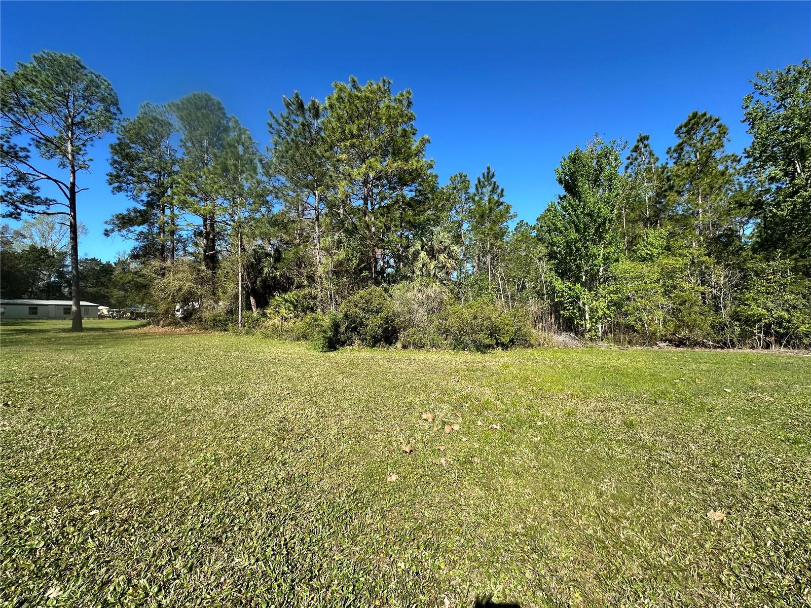 3491 S ENRIGHT TER, HOMOSASSA, FL, 34448