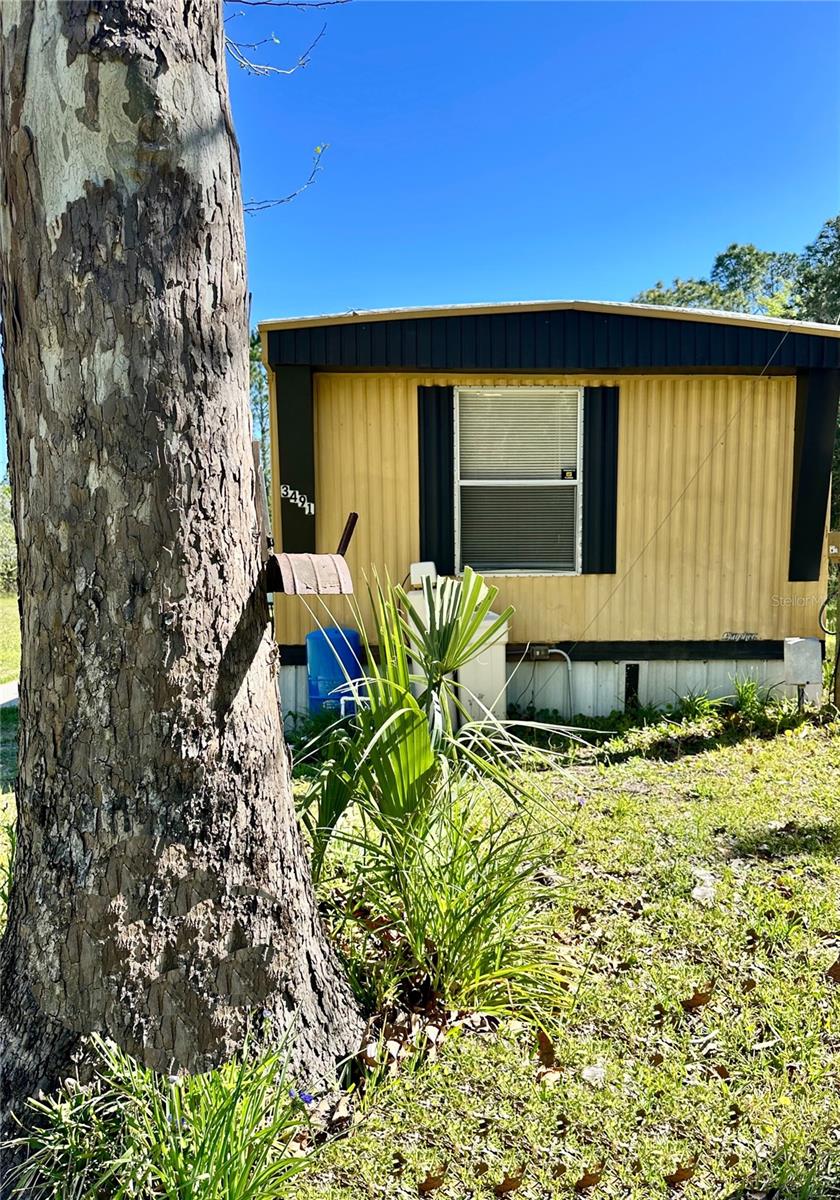 3491 S ENRIGHT TER, HOMOSASSA, FL, 34448