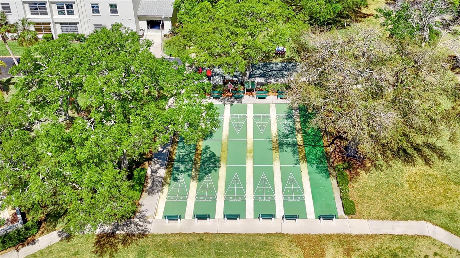2700 BAYSHORE BLVD #4204, DUNEDIN, FL, 34698