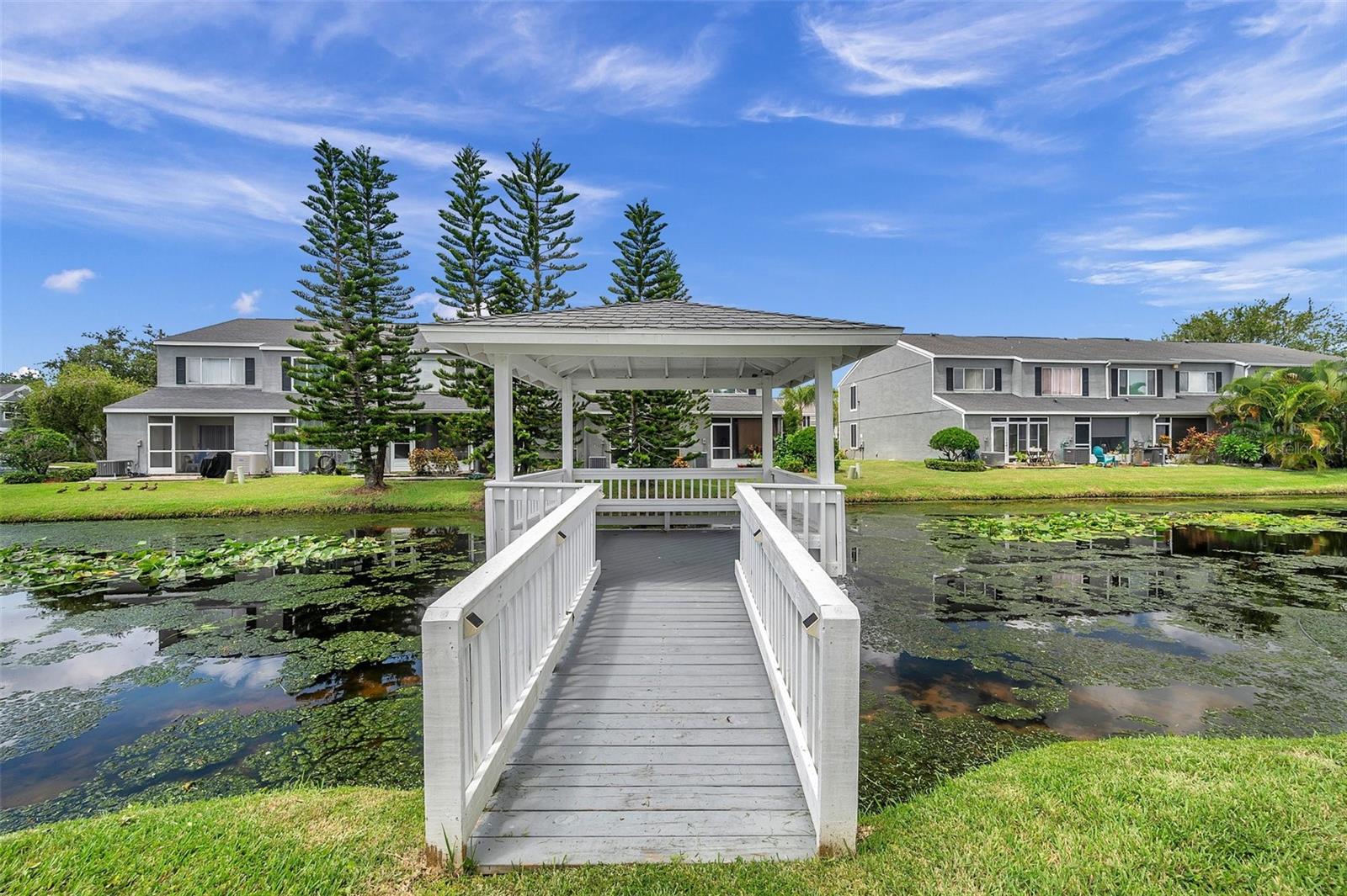 297 COUNTRYSIDE KEY BLVD, OLDSMAR, FL, 34677