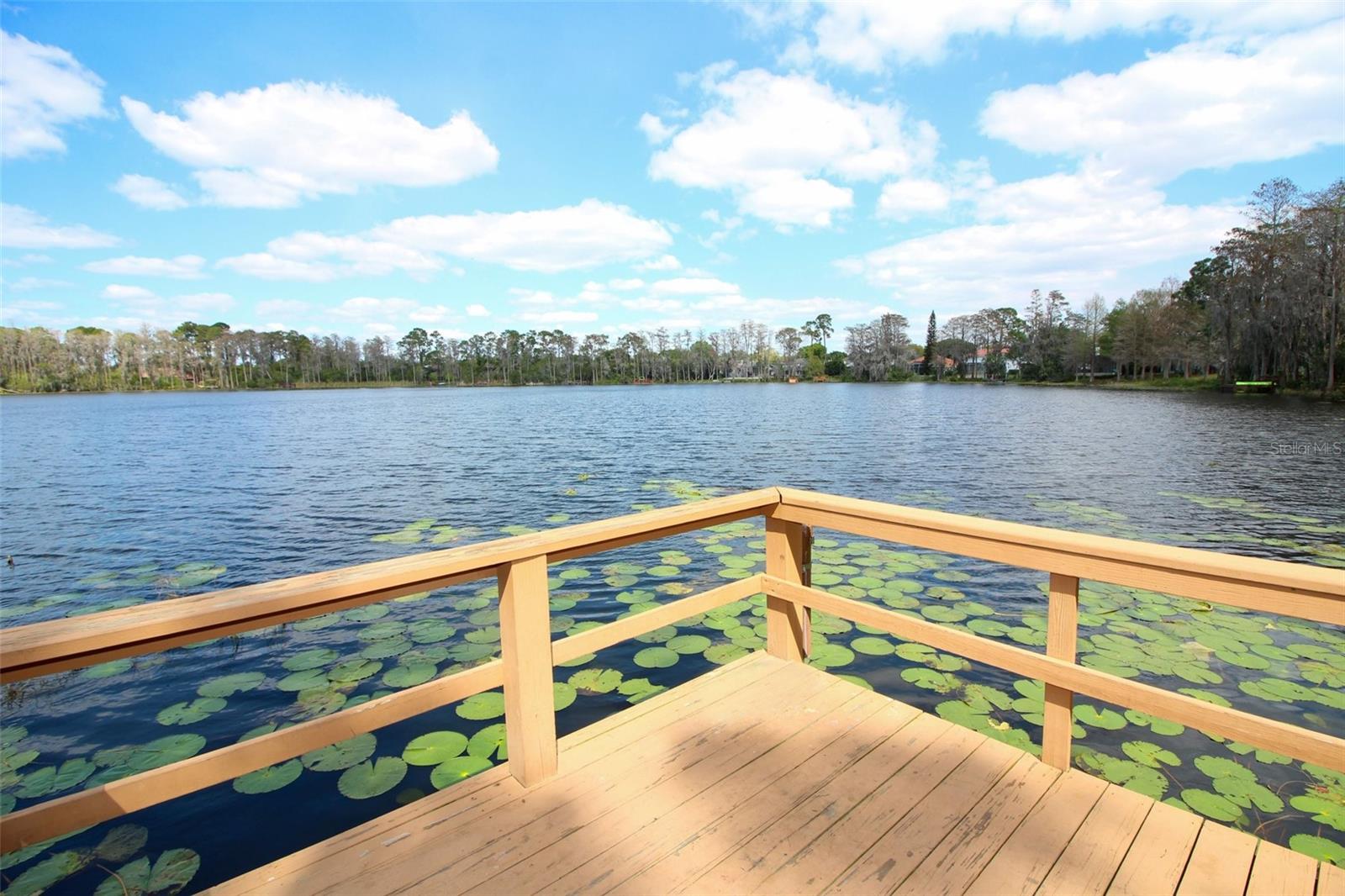8024 BANGLE LN, ORLANDO, FL, 32836