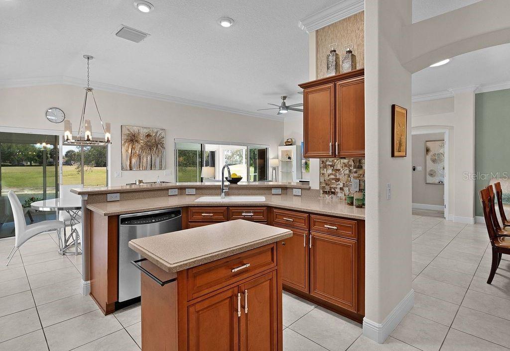 749 ABERDEEN RUN, THE VILLAGES, FL, 32162