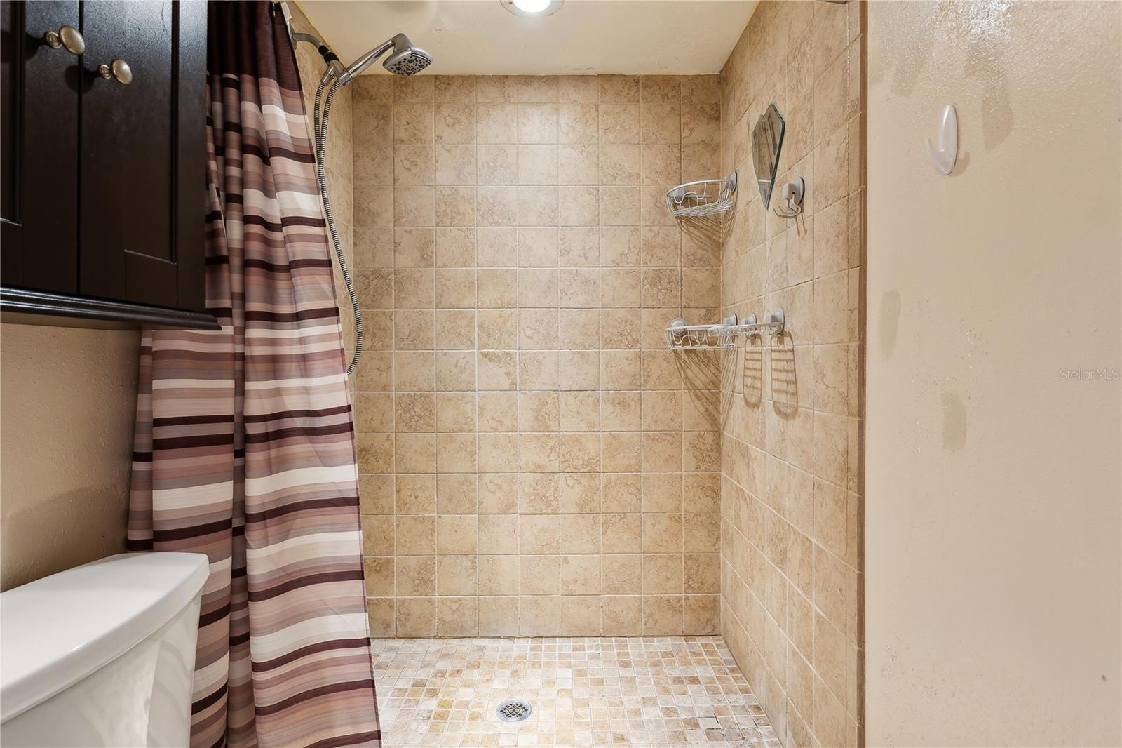 8510 CEDAR COVE CT, ORLANDO, FL, 32819
