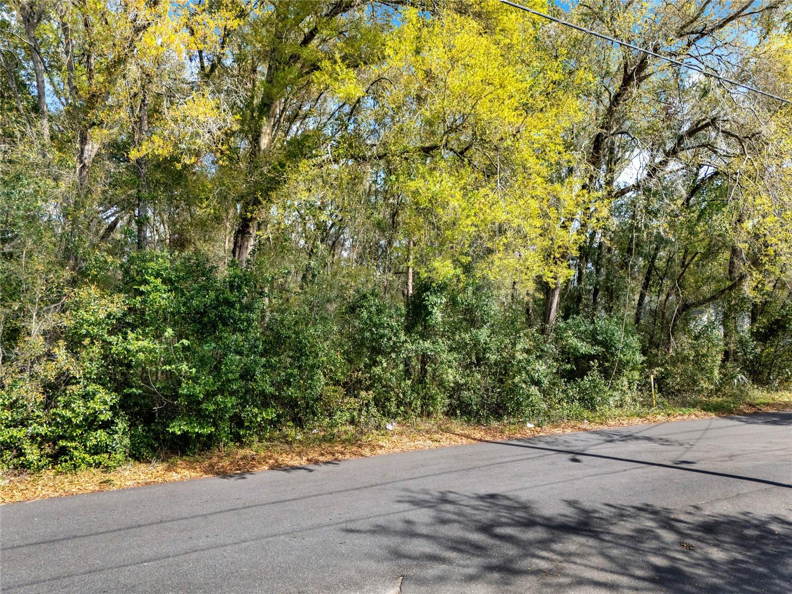 709 S SMITH AVE, INVERNESS, FL, 34453