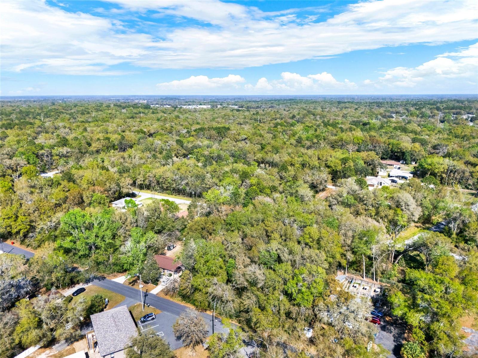 709 S SMITH AVE, INVERNESS, FL, 34453