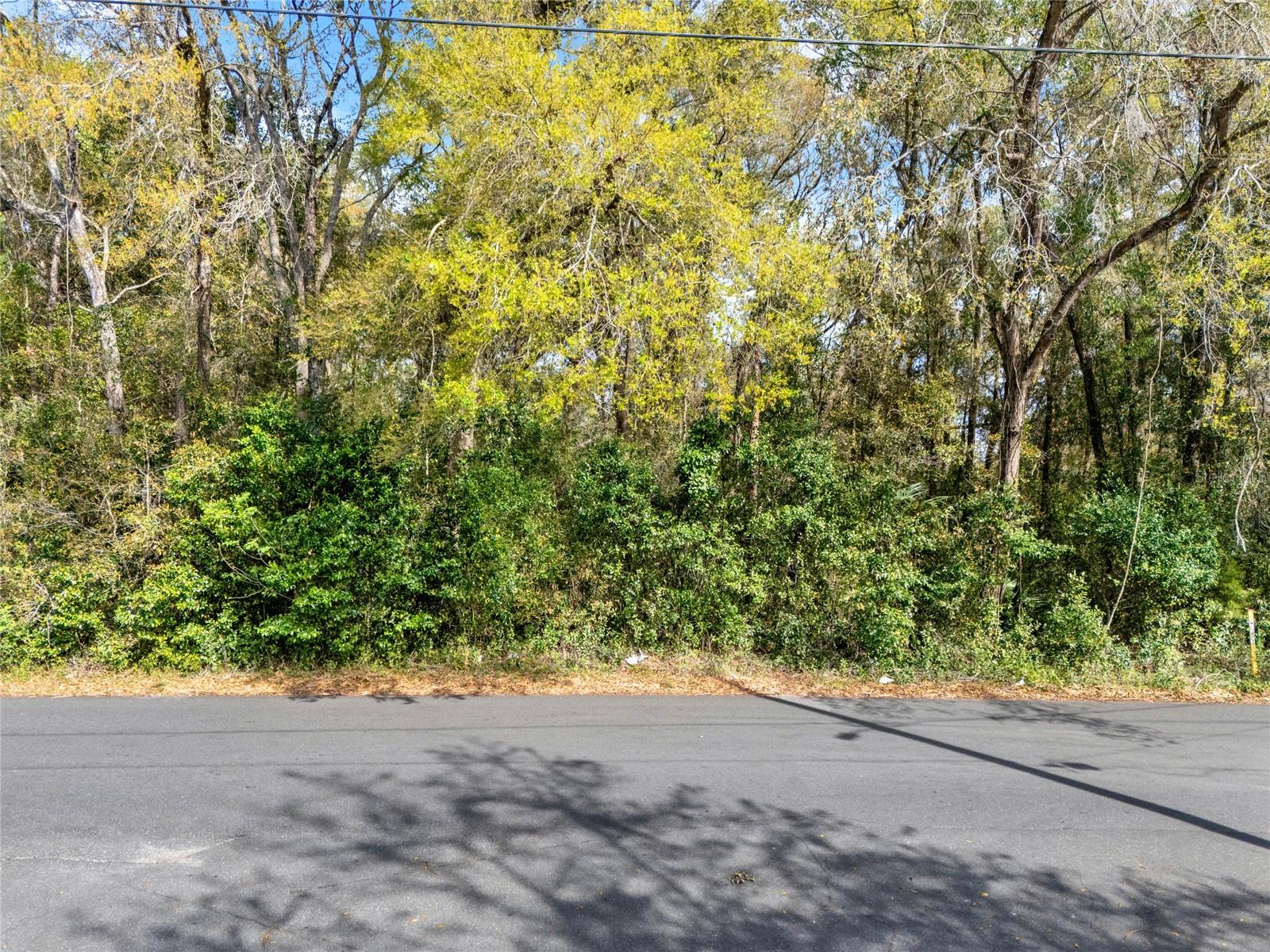 709 S SMITH AVE, INVERNESS, FL, 34453