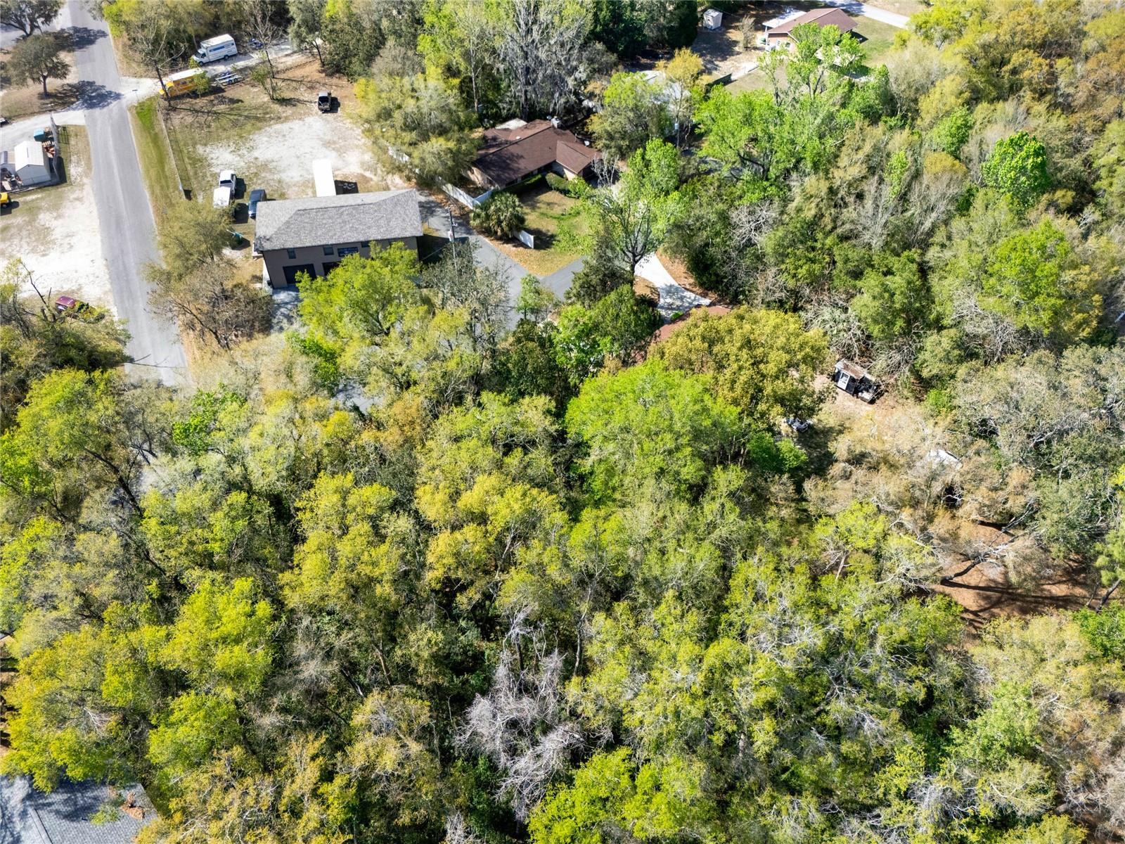 709 S SMITH AVE, INVERNESS, FL, 34453