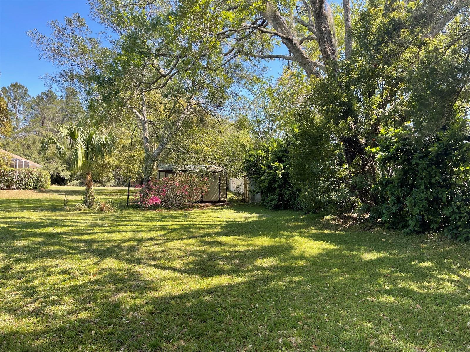 12330 COMSTOCK ST, SPRING HILL, FL, 34609
