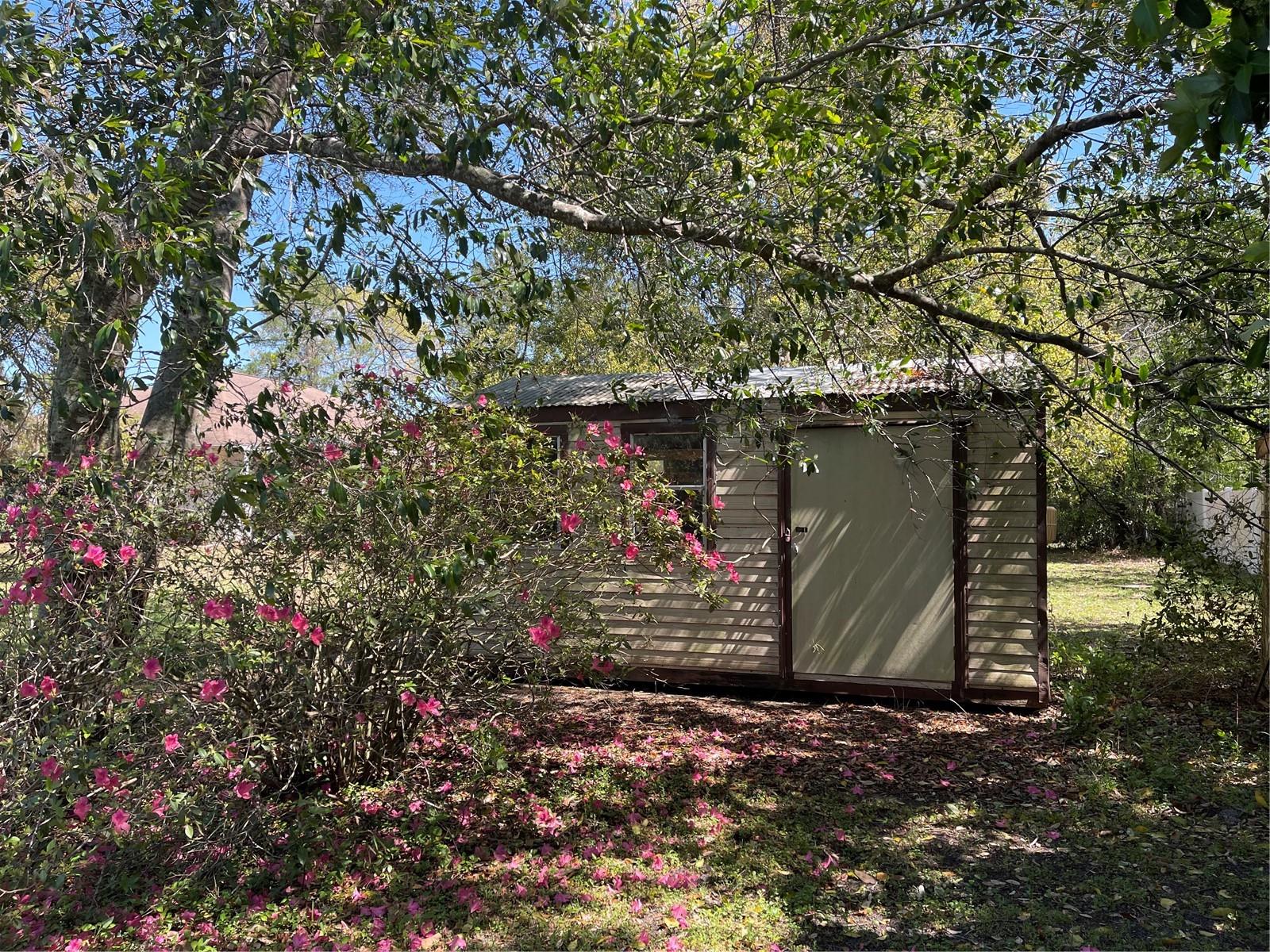 12330 COMSTOCK ST, SPRING HILL, FL, 34609