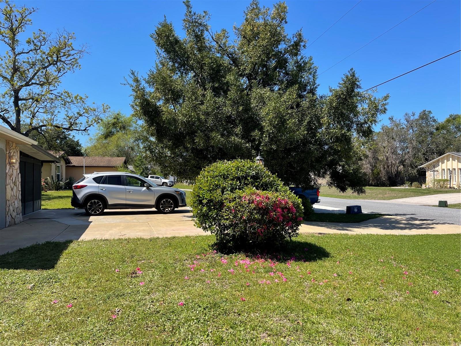 12330 COMSTOCK ST, SPRING HILL, FL, 34609