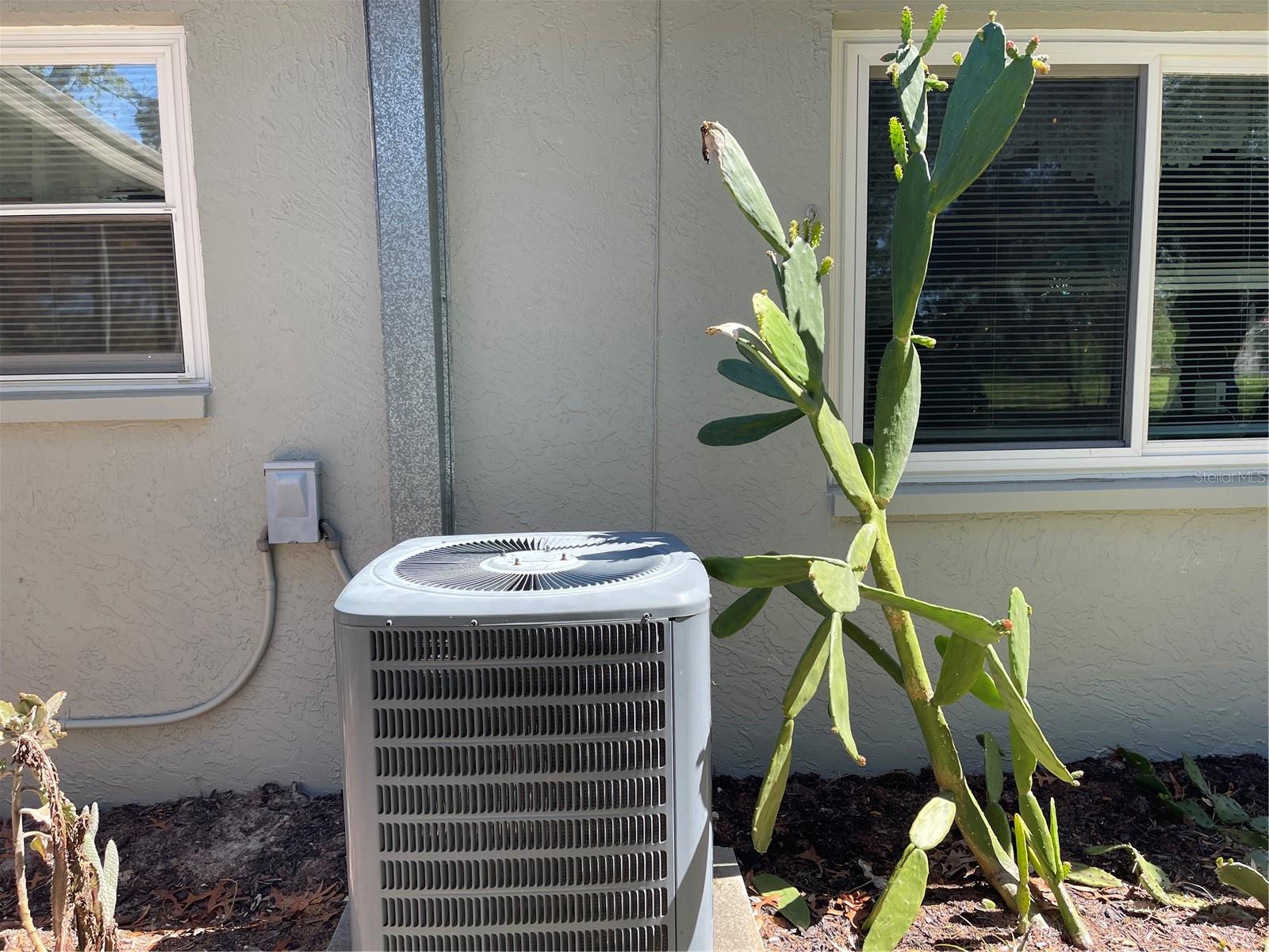 12330 COMSTOCK ST, SPRING HILL, FL, 34609