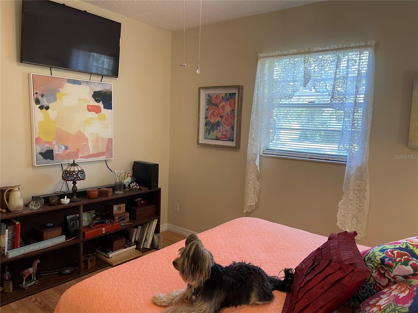 12330 COMSTOCK ST, SPRING HILL, FL, 34609
