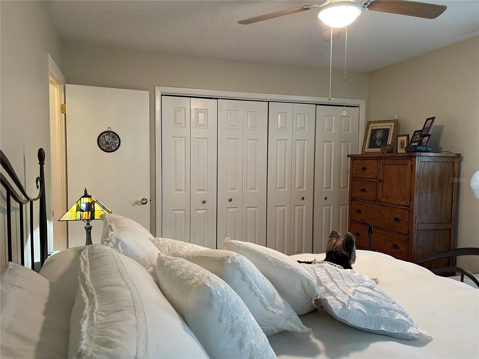 12330 COMSTOCK ST, SPRING HILL, FL, 34609