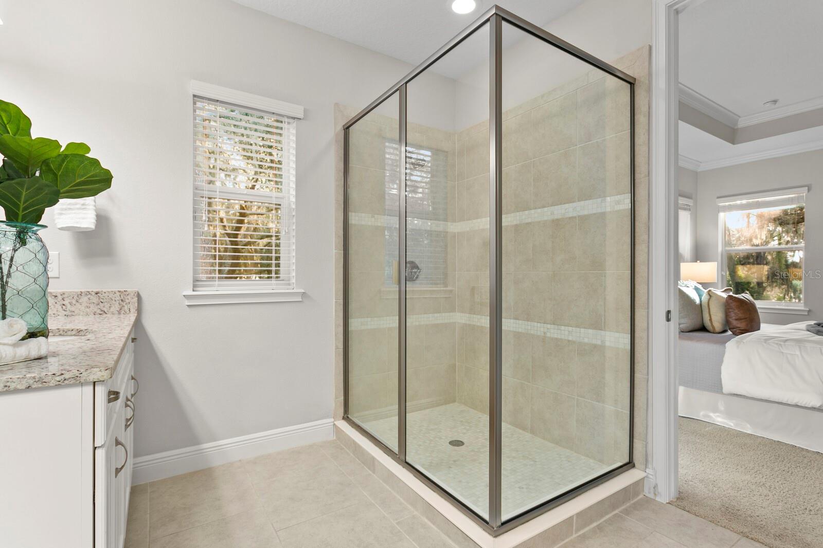 13929 LAKE FISHHAWK DR, LITHIA, FL, 33547