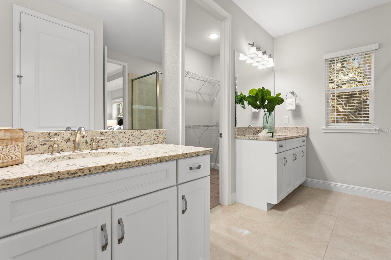 13929 LAKE FISHHAWK DR, LITHIA, FL, 33547