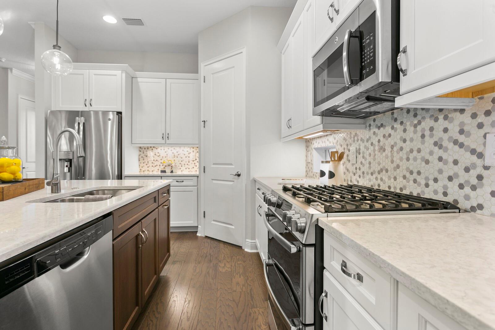 13929 LAKE FISHHAWK DR, LITHIA, FL, 33547