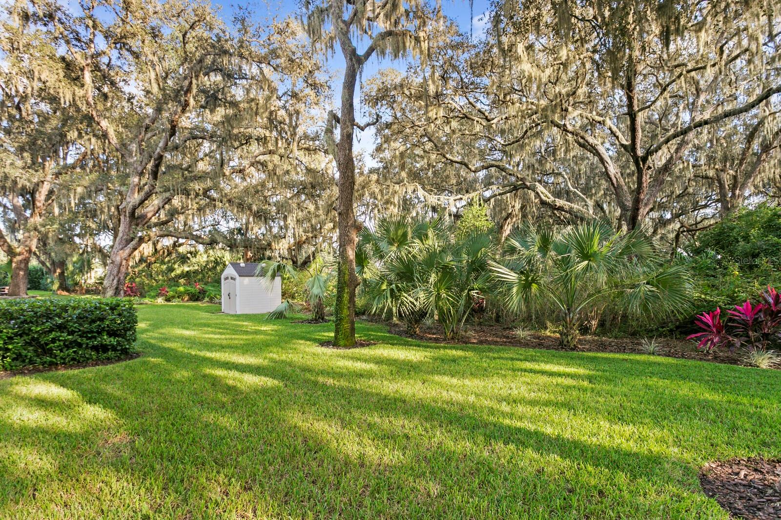 13929 LAKE FISHHAWK DR, LITHIA, FL, 33547