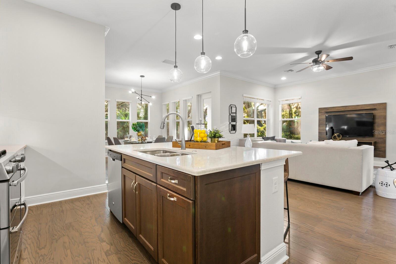 13929 LAKE FISHHAWK DR, LITHIA, FL, 33547