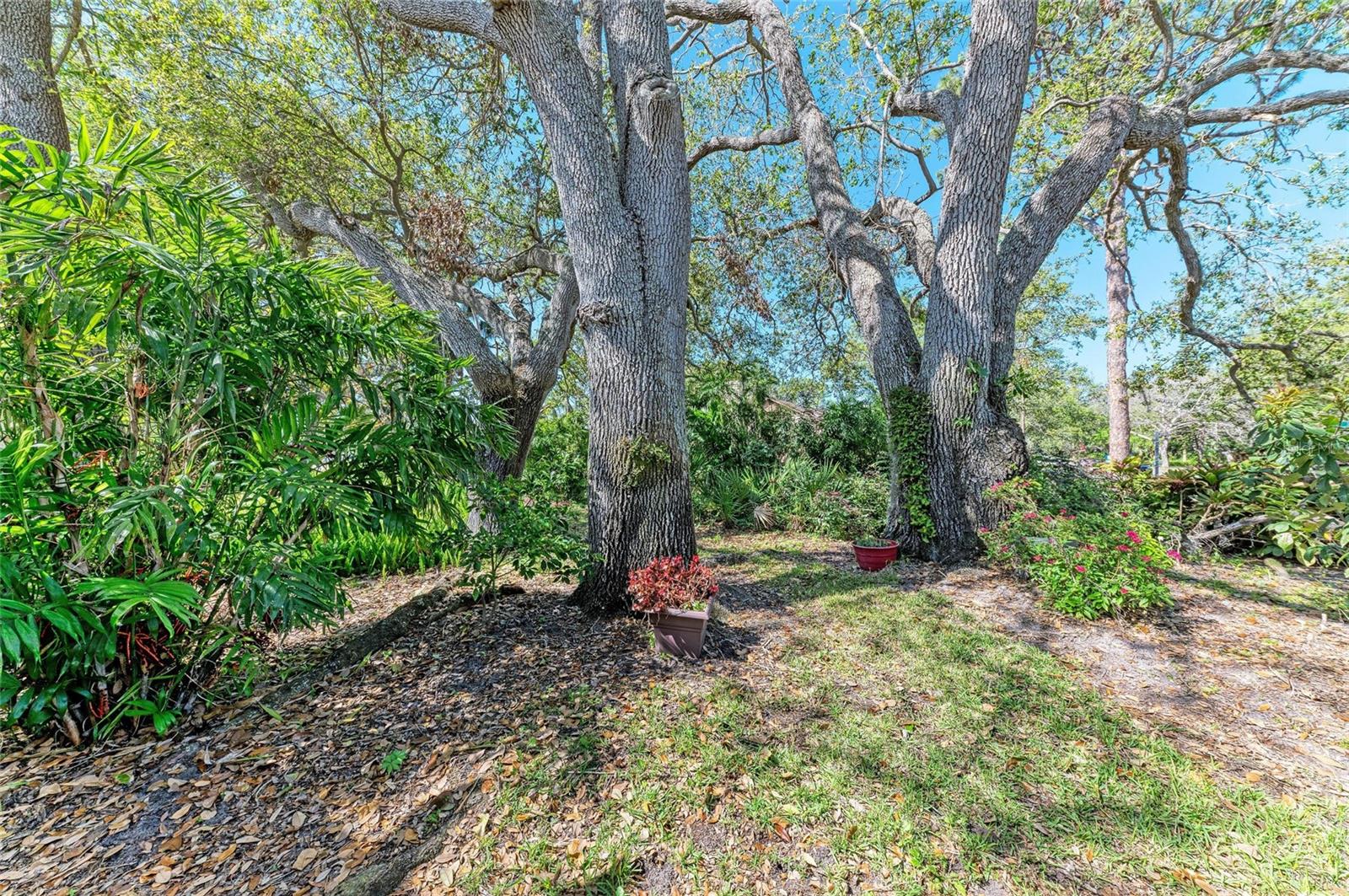 7615 4TH AVE W #7615, BRADENTON, FL, 34209