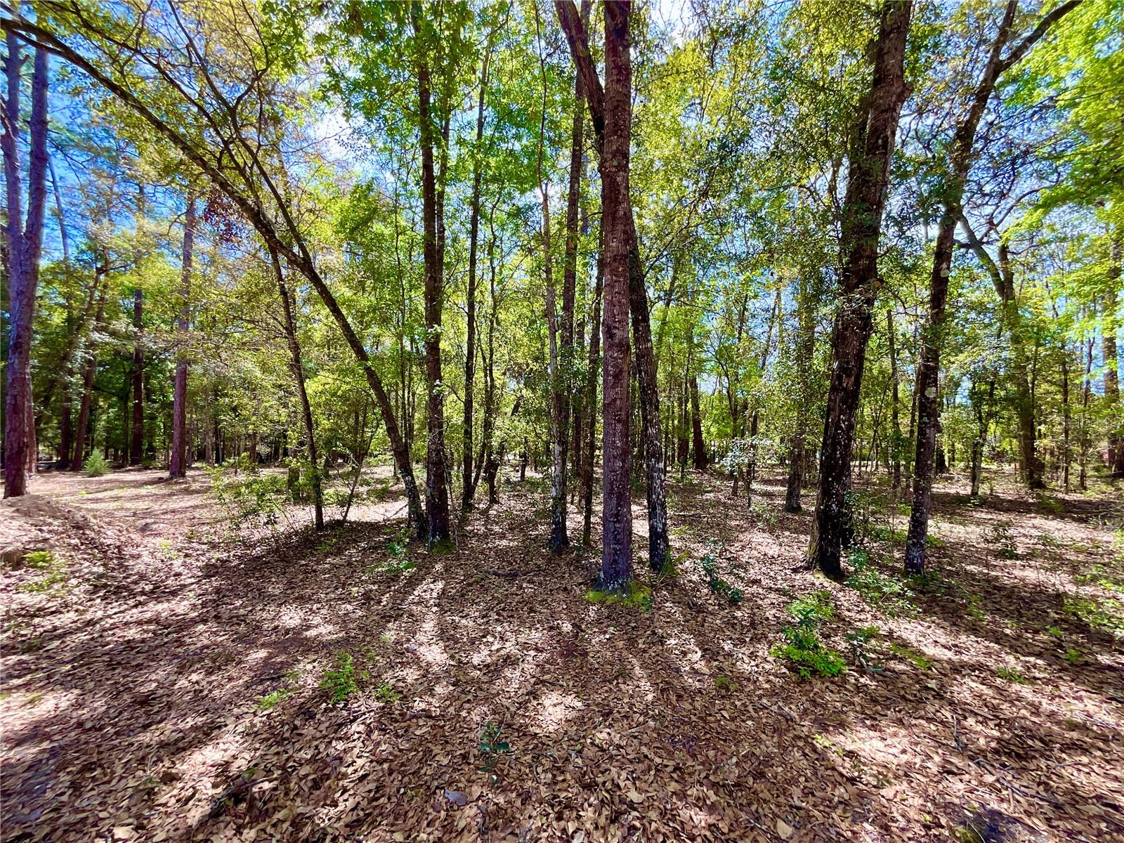 ASHLEY LAKE PLANTATION, MELROSE, FL, 32666