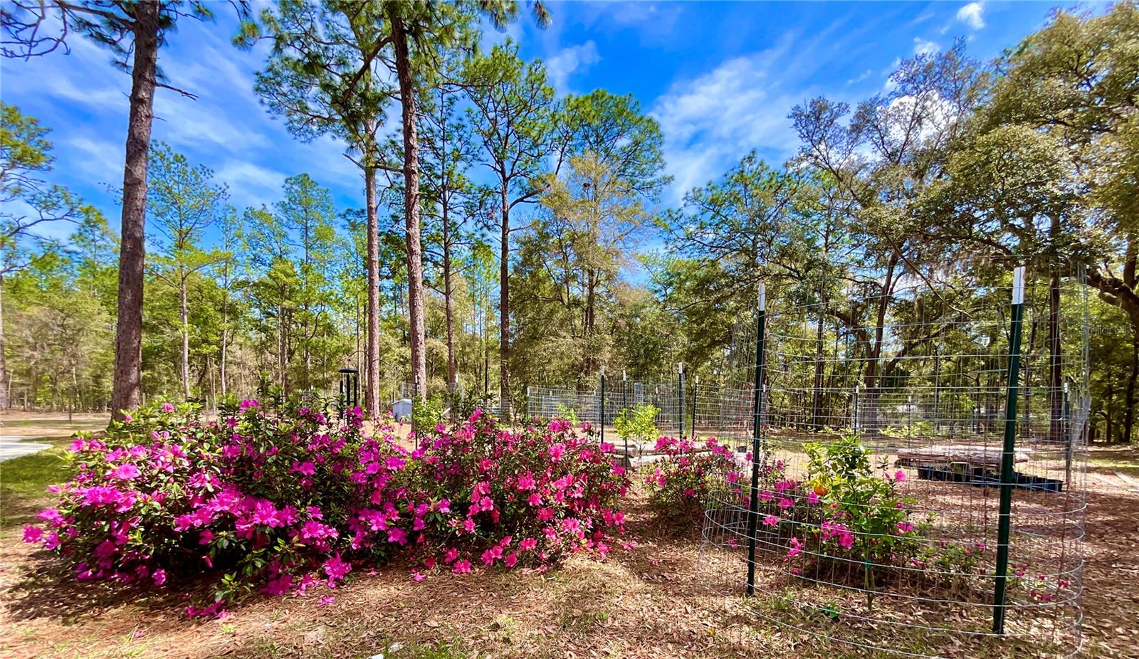 ASHLEY LAKE PLANTATION, MELROSE, FL, 32666