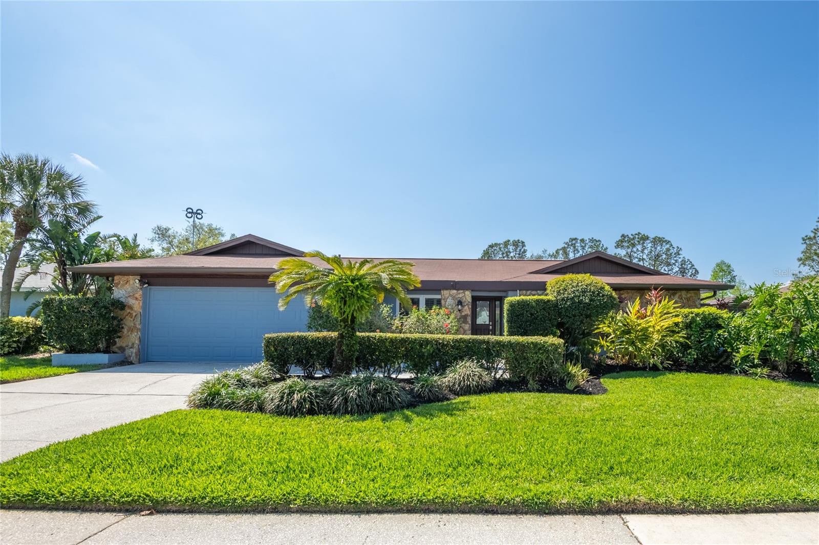 14006 ELLESMERE DR, TAMPA, FL, 33624