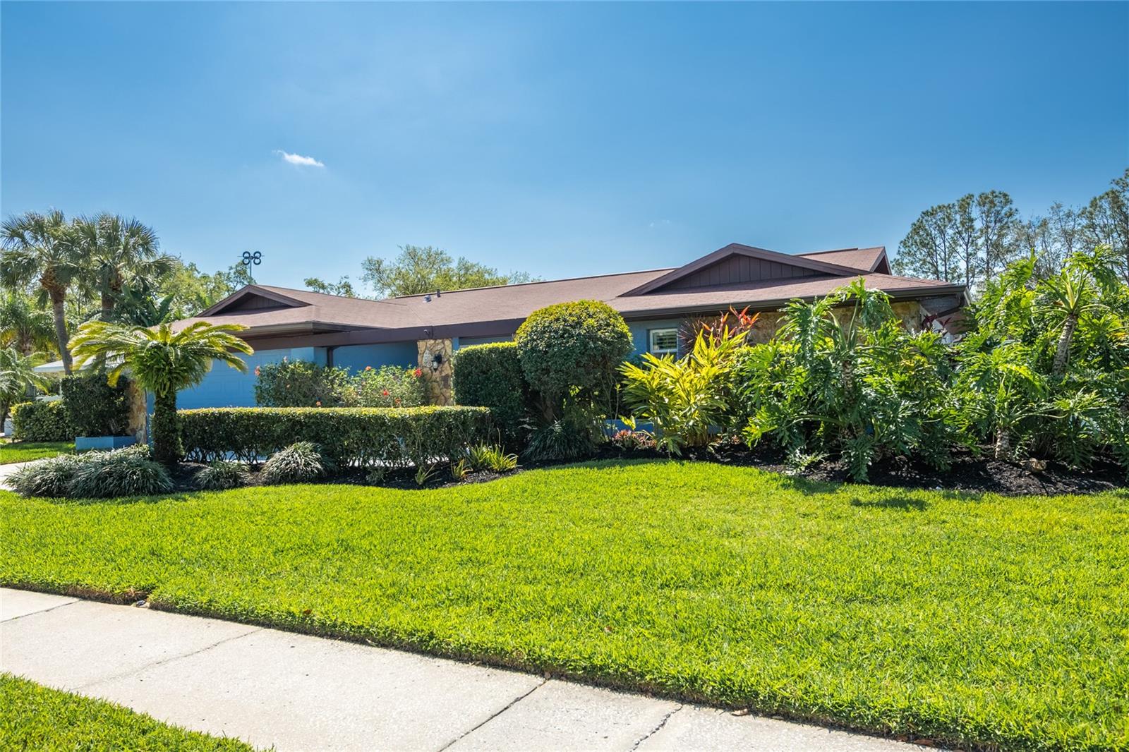 14006 ELLESMERE DR, TAMPA, FL, 33624