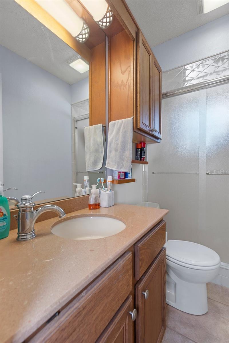 8133 PAGODA DR, SPRING HILL, FL, 34606